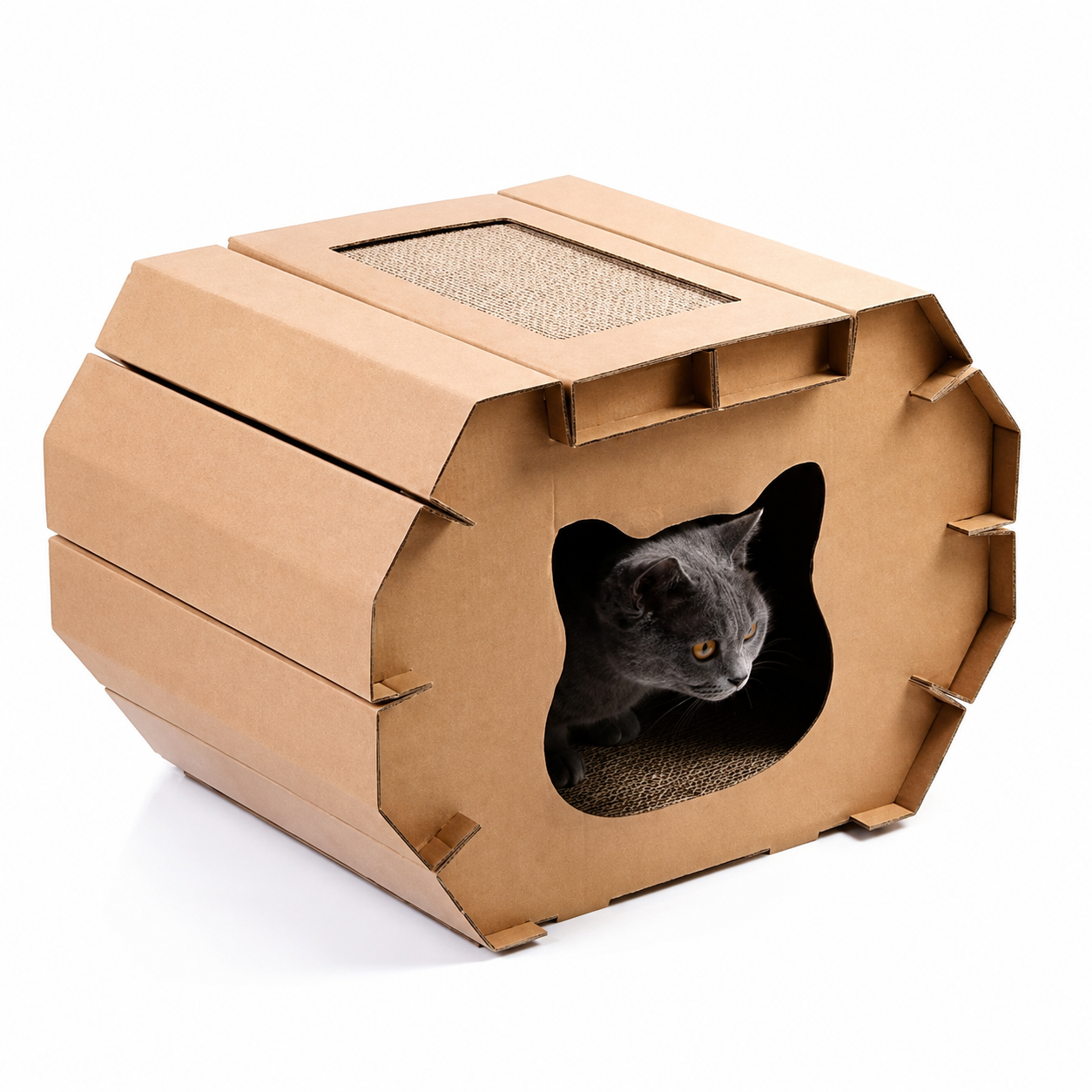 Casa Rascador Personalizable para Gatos