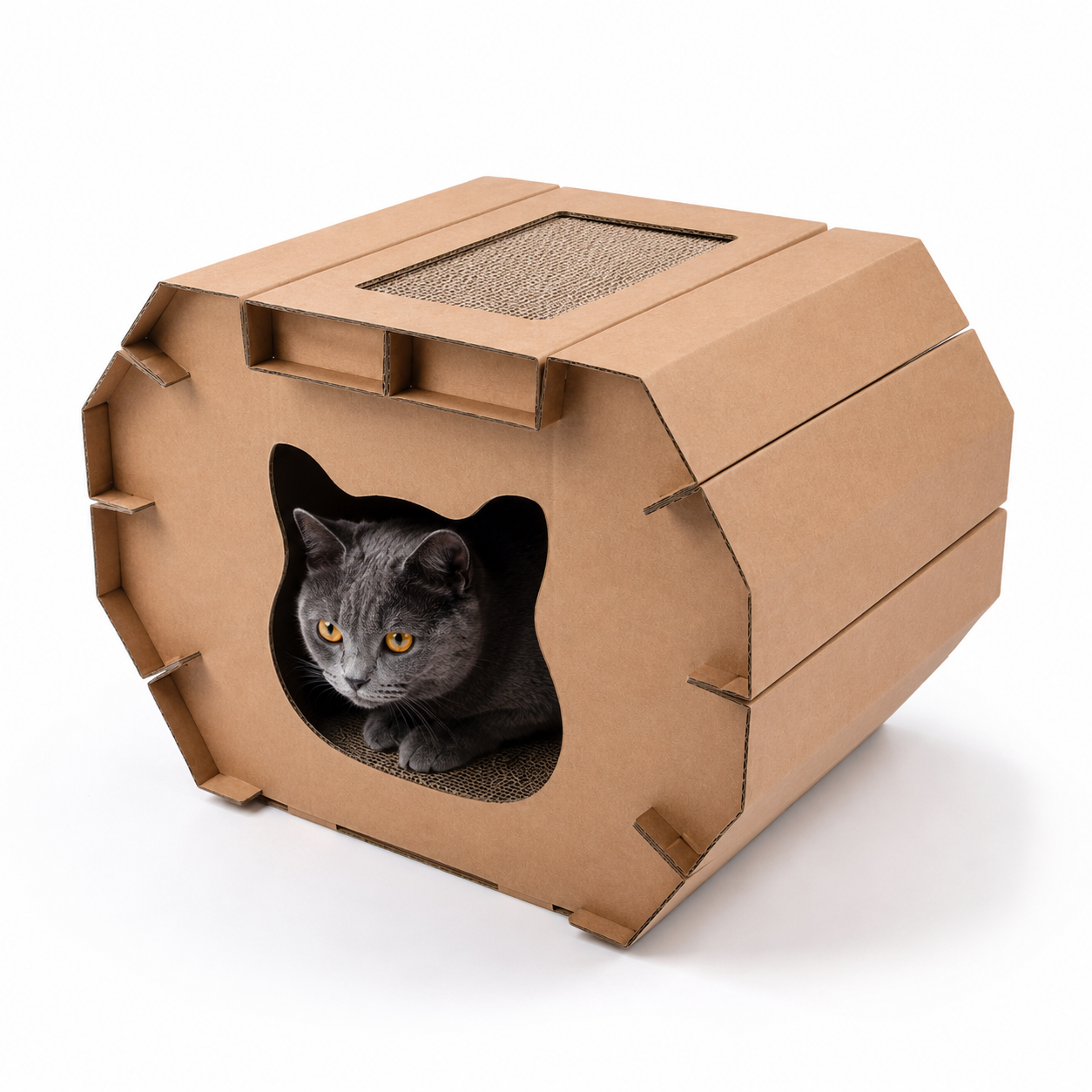 Casa Rascador Personalizable para Gatos